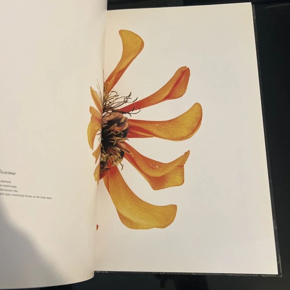 Subtraction - Hardcover By Siobhan Gunning - GOOD - Plant Art Photography
